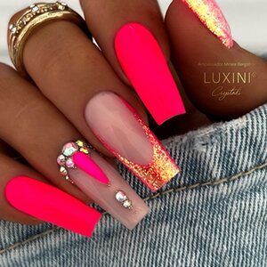 Summer Favorites